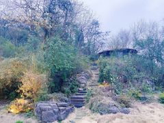 -三峡人家风景区