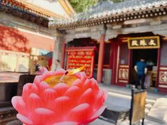 -潭柘寺景区