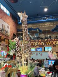 -卡通尼·Safari非洲探索乐园·生日会(金桥国际商业广场店)