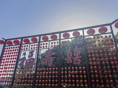 -合肥滨湖国家森林公园