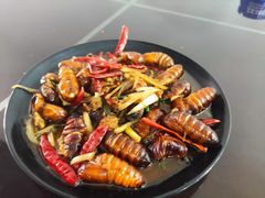 -徐嘉赫龙虾馆