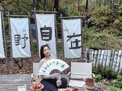 -峡谷浮石林景区