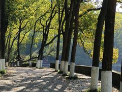 -忠山公园