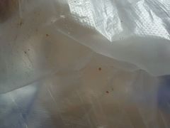 -上海市中医医院(芷江路院区)