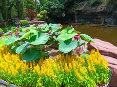 -广州莲花山旅游区