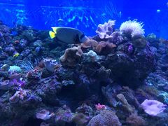 -成都浩海立方海洋公园