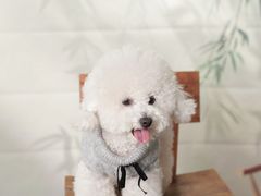 -星光摄影器材城