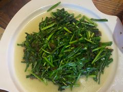 -茅山肴·道家菜·神仙鸡