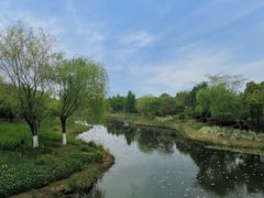 -尚贤河湿地