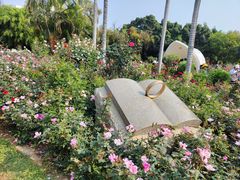 -人民公园(罗湖区)