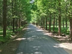 绿茵道-西部兰花园生态园