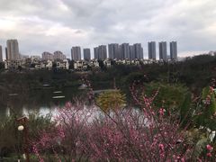-重庆彩云湖湿地公园