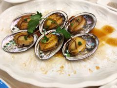 -北海渔村酒楼·粤菜海鲜点心(新华店)