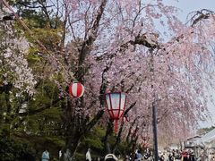 -名古屋城