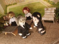 -济州岛泰迪熊博物馆