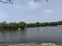 -北陵公园
