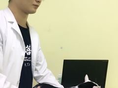 -佳怡动物医院·平价24小时·猫专科骨外科