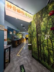 点击看大图 -神奇动物撸宠馆·羊驼·小浣熊·异宠(豫园店)