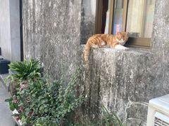 -鸣鹤古镇