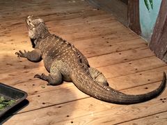 -石家庄市动物园