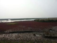 -盘锦红海温泉乐园