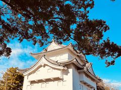-名古屋城