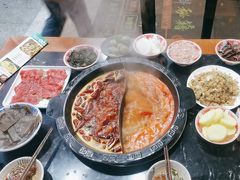 -重庆川渝肥妹火锅