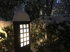 -黄山温泉国际旅游度假区