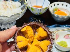 -红叶日料·放题·海胆·定食(星海店)
