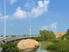 -爱情邮局