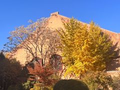 -清华大学-观畴园餐厅