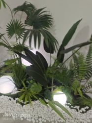 -HEYAN荷妍专业脱毛连锁机构