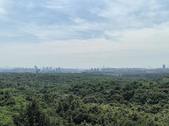 -南京老山国家森林公园