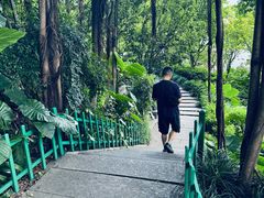 -乌山风景区