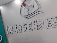 -博特宠物医院24h犬猫全科.骨科·异宠