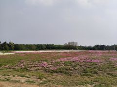 -东海森林温泉度假酒店