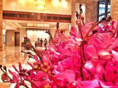 -杭州城中香格里拉大酒店