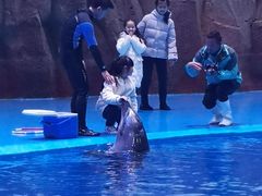 -华夏文旅海洋公园