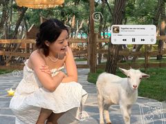 -南戴河国际娱乐中心