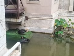 -华谊兄弟（长沙）电影小镇