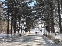 -长春市南湖公园