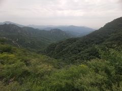 -大岭沟猕猴桃谷风景区