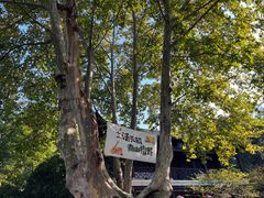 -南山风景名胜区