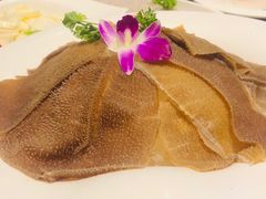 德庄鲜毛肚-重庆德庄火锅(体育中心店)