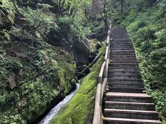 -西安祥峪森林公园