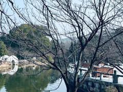 -白马涧龙池景区