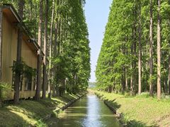 -黄海国家森林公园