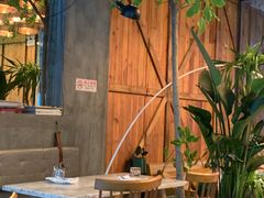 -the rug 飞毯 (朝阳公园店)