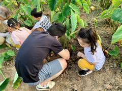 -前小桔亲子创意农场·草莓采摘·露营烧烤