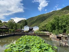 -荷塘味道(水长城店)